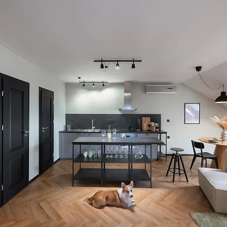 Antre 2 Podkrovny S Klimou Dog Friendly Апартаменты